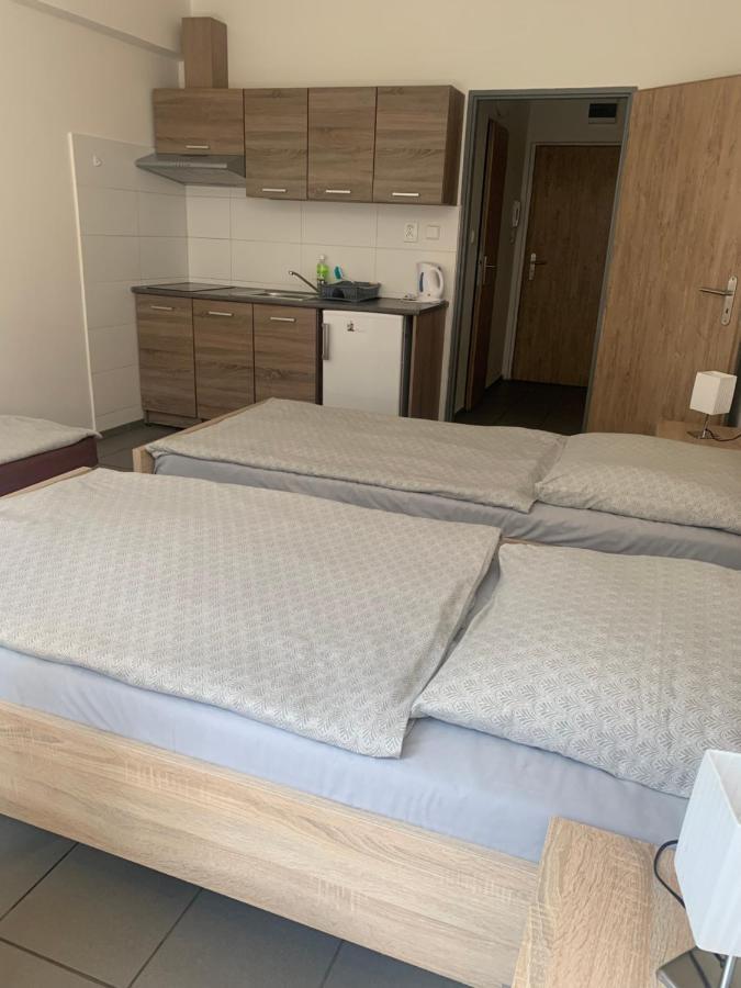 Apartmany Havlickova Mladá Boleslav Dış mekan fotoğraf